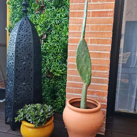 Appt Terrasse Dans Demeure De Charme Appartement *
